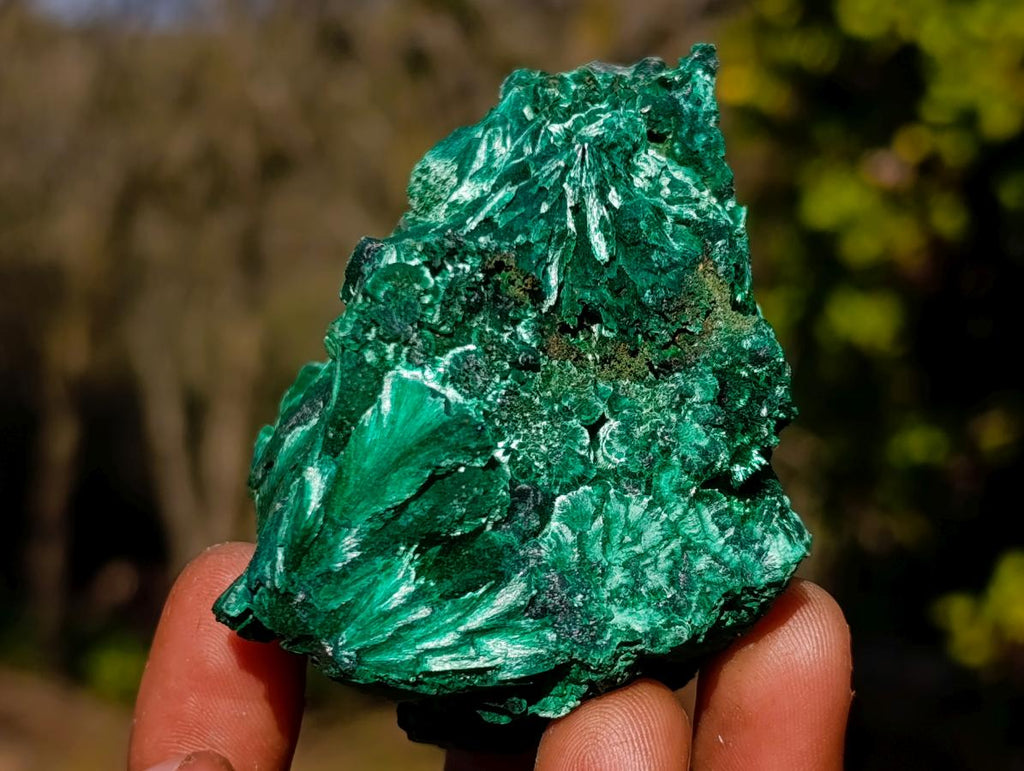 Natural Silky Malachite Specimens x 6 From Kasompe, Congo - Toprock Gemstones and Minerals 