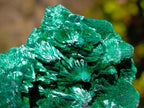 Natural Silky Malachite Specimens x 6 From Kasompe, Congo - Toprock Gemstones and Minerals 