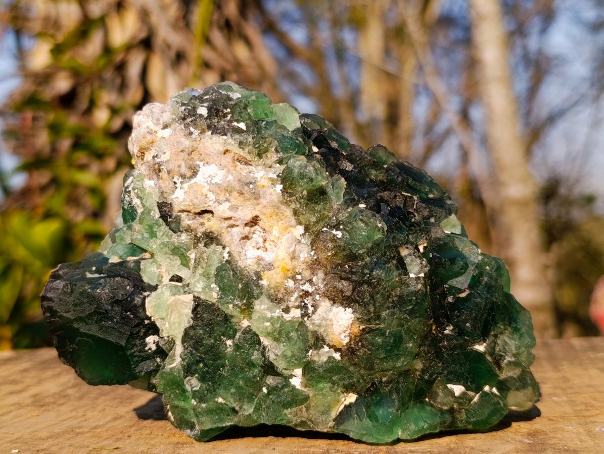 Natural Dark Green and Purple Cubic Fluorite Specimens x 2 From Okorusu Mine, Namibia - Toprock Gemstones and Minerals 
