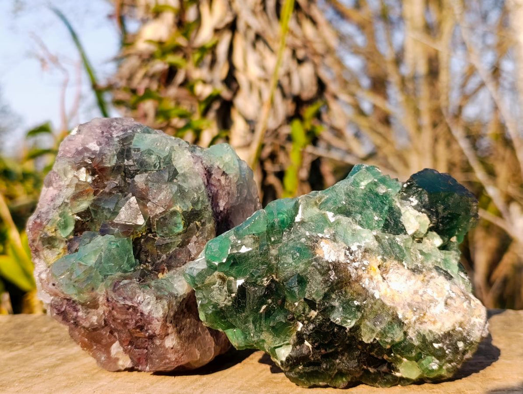 Natural Dark Green and Purple Cubic Fluorite Specimens x 2 From Okorusu Mine, Namibia - Toprock Gemstones and Minerals 