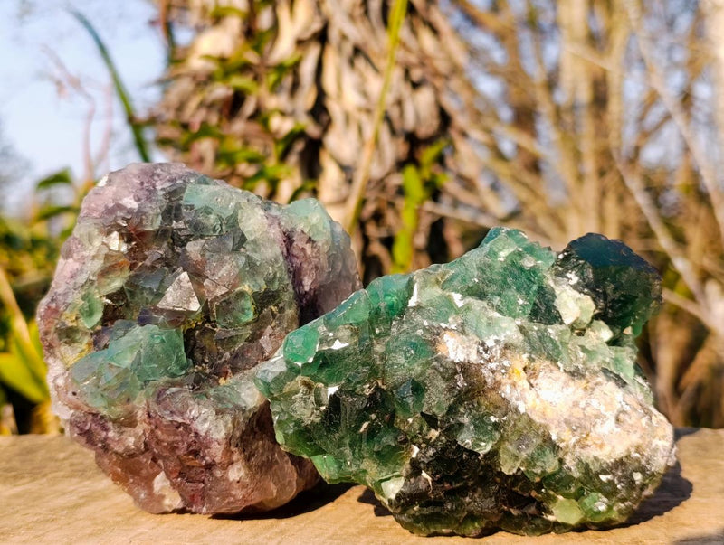 Natural Dark Green and Purple Cubic Fluorite Specimens x 2 From Okorusu Mine, Namibia - Toprock Gemstones and Minerals 