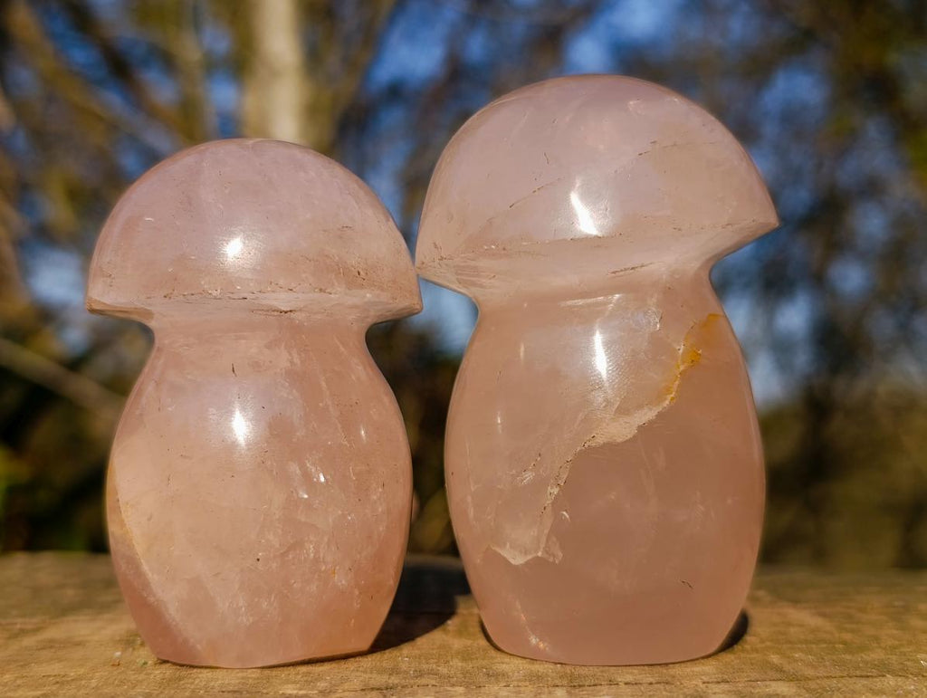 Polished Gemmy Rose Quartz Mushrooms x 6 From Madagascar - Toprock Gemstones and Minerals 