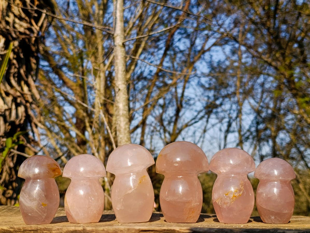 Polished Gemmy Rose Quartz Mushrooms x 6 From Madagascar - Toprock Gemstones and Minerals 