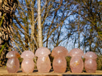 Polished Gemmy Rose Quartz Mushrooms x 6 From Madagascar - Toprock Gemstones and Minerals 