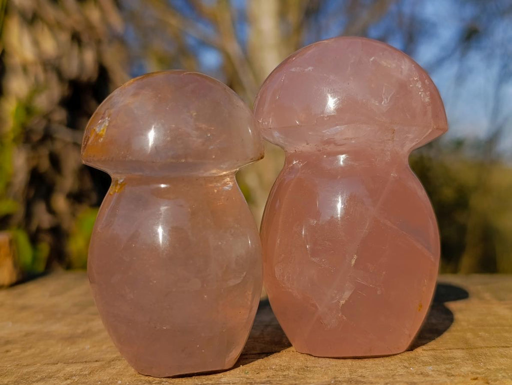 Polished Gemmy Rose Quartz Mushrooms x 6 From Madagascar - Toprock Gemstones and Minerals 