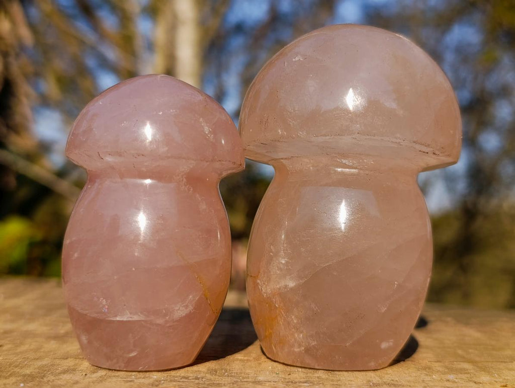 Polished Gemmy Rose Quartz Mushrooms x 6 From Madagascar - Toprock Gemstones and Minerals 