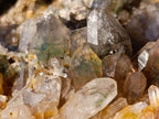 Natural XL Chlorite Quartz Flat Crystalline Plate Specimen with Hematoid x 1 From Orange River, South Africa - Toprock Gemstones and Minerals 