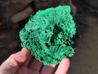 Natural Silky Malachite Specimens x 3 From Kasompe, Congo - Toprock Gemstones and Minerals 