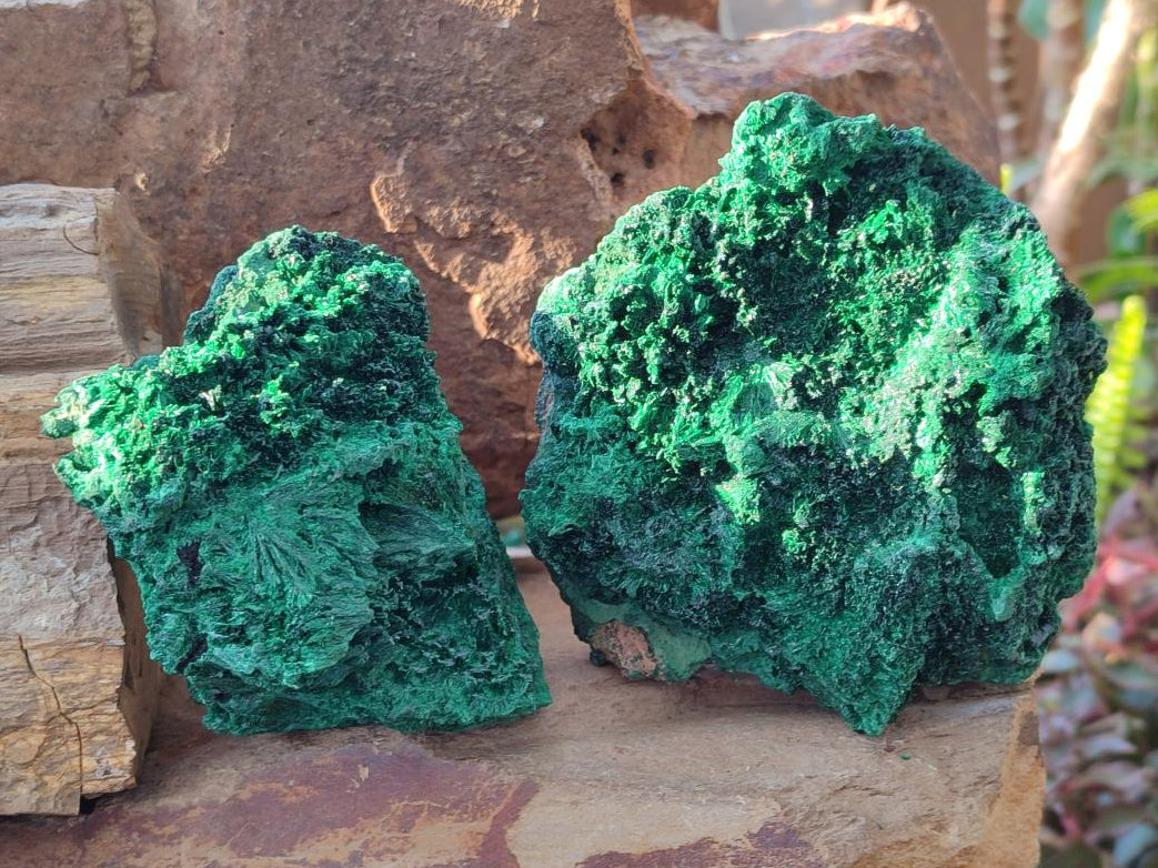 Natural Silky Malachite Specimens x 3 From Kasompe, Congo - Toprock Gemstones and Minerals 