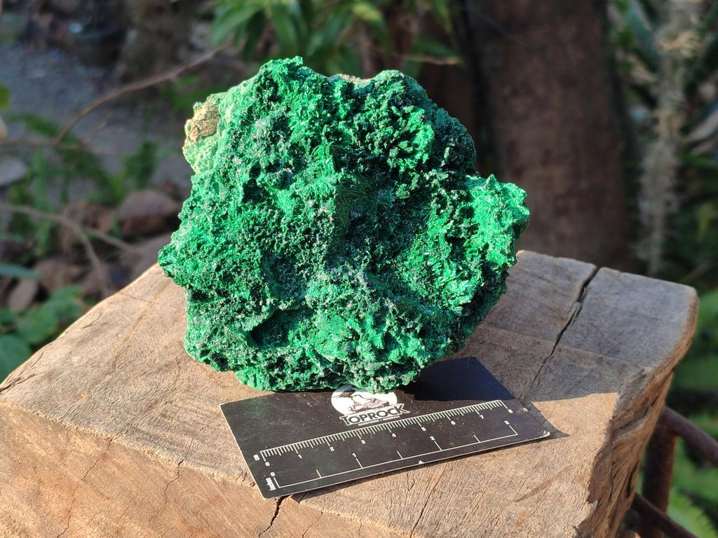 Natural Silky Malachite Specimens x 3 From Kasompe, Congo - Toprock Gemstones and Minerals 