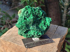 Natural Silky Malachite Specimens x 3 From Kasompe, Congo - Toprock Gemstones and Minerals 