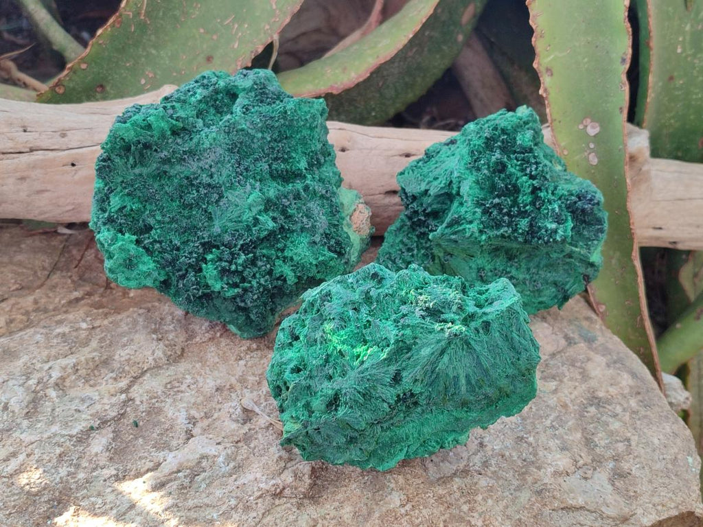Natural Silky Malachite Specimens x 3 From Kasompe, Congo - Toprock Gemstones and Minerals 