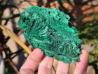 Natural Silky Malachite Specimens x 3 From Kasompe, Congo - Toprock Gemstones and Minerals 