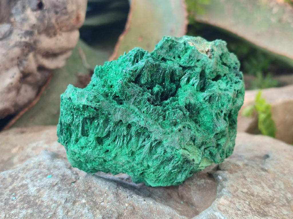 Natural Silky Malachite Specimens x 3 From Kasompe, Congo - Toprock Gemstones and Minerals 