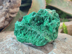 Natural Silky Malachite Specimens x 3 From Kasompe, Congo - Toprock Gemstones and Minerals 