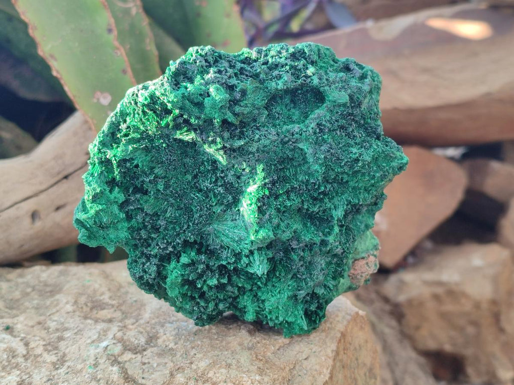 Natural Silky Malachite Specimens x 3 From Kasompe, Congo - Toprock Gemstones and Minerals 