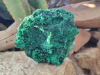 Natural Silky Malachite Specimens x 3 From Kasompe, Congo - Toprock Gemstones and Minerals 