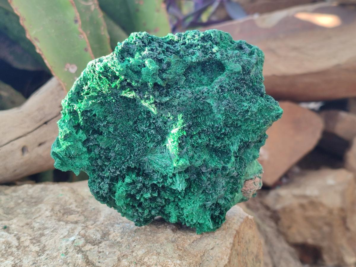 Natural Silky Malachite Specimens x 3 From Kasompe, Congo - Toprock Gemstones and Minerals 
