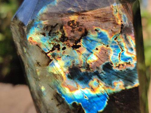 Polished Labradorite Standing Display Crystals x 2 From Madagascar - Toprock Gemstones and Minerals 
