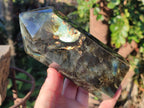 Polished Labradorite Standing Display Crystals x 2 From Madagascar - Toprock Gemstones and Minerals 
