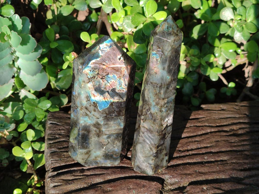 Polished Labradorite Standing Display Crystals x 2 From Madagascar - Toprock Gemstones and Minerals 