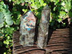 Polished Labradorite Standing Display Crystals x 2 From Madagascar - Toprock Gemstones and Minerals 