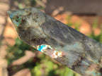 Polished Labradorite Standing Display Crystals x 2 From Madagascar - Toprock Gemstones and Minerals 