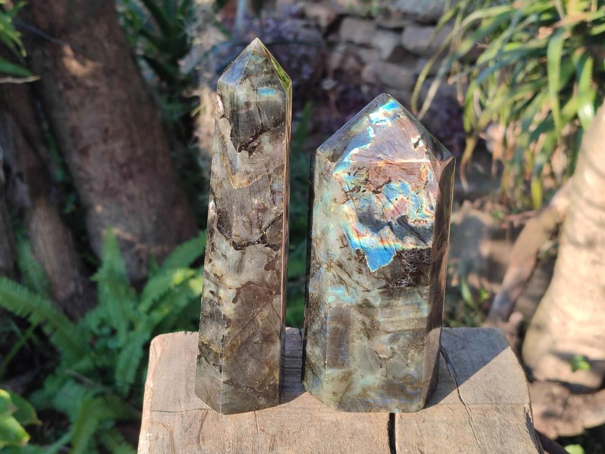 Polished Labradorite Standing Display Crystals x 2 From Madagascar - Toprock Gemstones and Minerals 