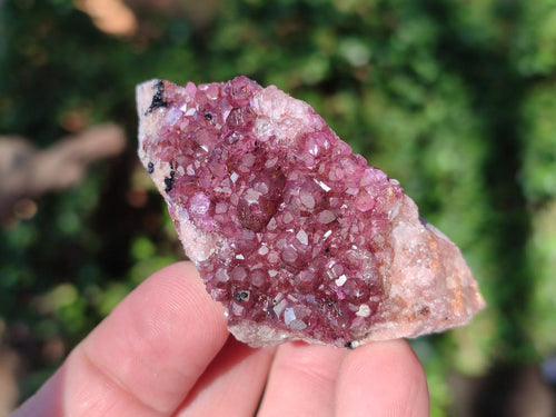 Natural Spherocobaltite Specimens with  Heterogenite x 12 From Musonoi Mine, Congo - Toprock Gemstones and Minerals 