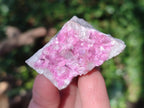 Natural Spherocobaltite Specimens with  Heterogenite x 12 From Musonoi Mine, Congo - Toprock Gemstones and Minerals 