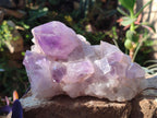 Natural Jacaranda Amethyst Crystal Clusters x 2 From Mumbwa, Zambia - Toprock Gemstones and Minerals 