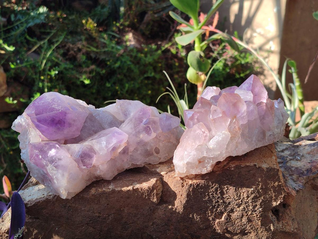 Natural Jacaranda Amethyst Crystal Clusters x 2 From Mumbwa, Zambia - Toprock Gemstones and Minerals 