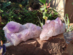 Natural Jacaranda Amethyst Crystal Clusters x 2 From Mumbwa, Zambia - Toprock Gemstones and Minerals 