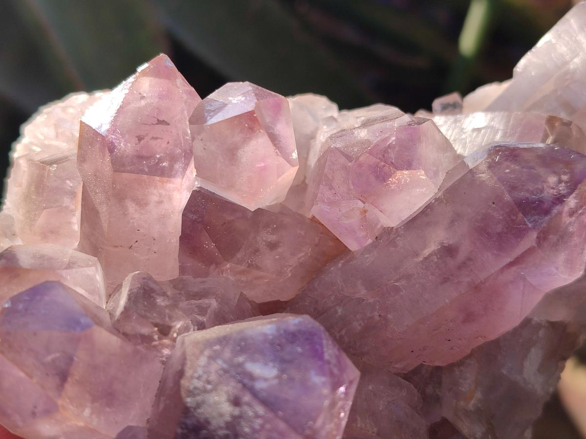 Natural Jacaranda Amethyst Crystal Clusters x 2 From Mumbwa, Zambia - Toprock Gemstones and Minerals 