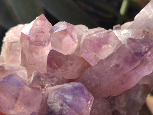 Natural Jacaranda Amethyst Crystal Clusters x 2 From Mumbwa, Zambia - Toprock Gemstones and Minerals 