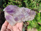 Natural Jacaranda Amethyst Crystal Clusters x 2 From Mumbwa, Zambia - Toprock Gemstones and Minerals 