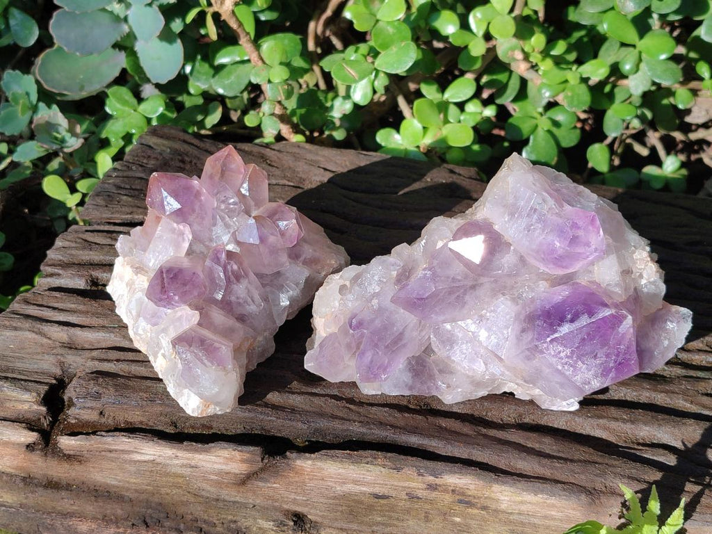 Natural Jacaranda Amethyst Crystal Clusters x 2 From Mumbwa, Zambia - Toprock Gemstones and Minerals 