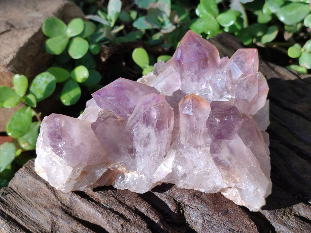 Natural Jacaranda Amethyst Crystal Clusters x 2 From Mumbwa, Zambia - Toprock Gemstones and Minerals 