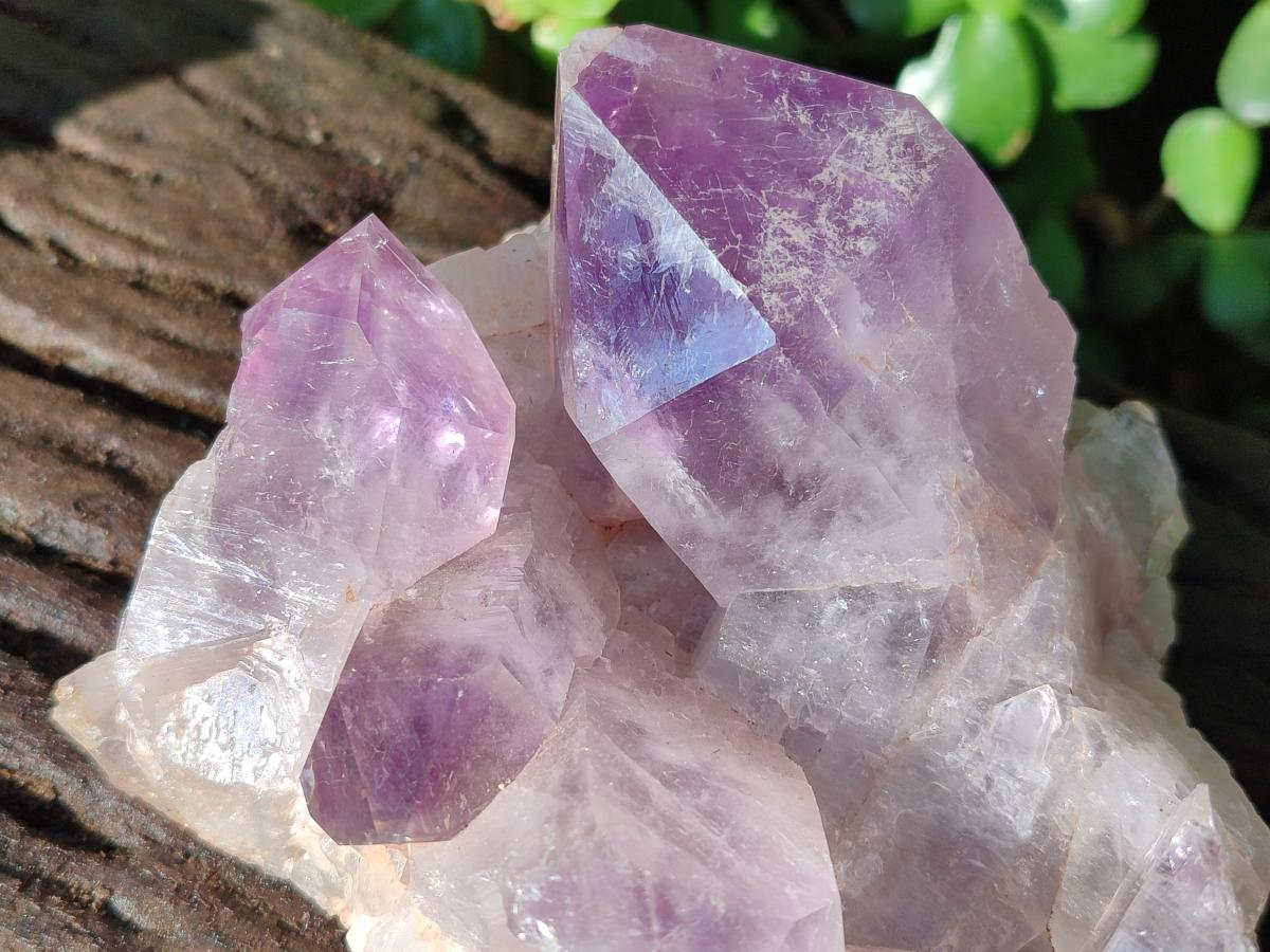 Natural Jacaranda Amethyst Crystal Clusters x 2 From Mumbwa, Zambia - Toprock Gemstones and Minerals 