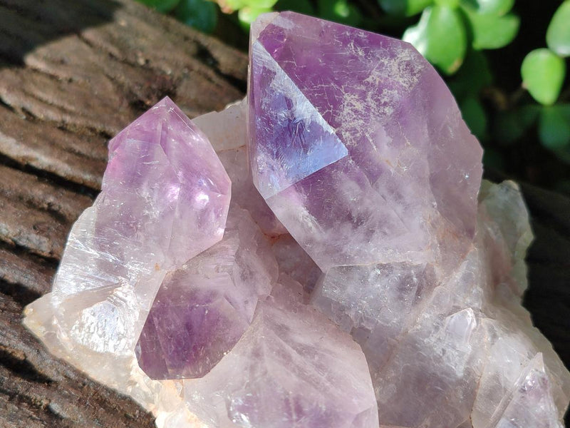 Natural Jacaranda Amethyst Crystal Clusters x 2 From Mumbwa, Zambia - Toprock Gemstones and Minerals 