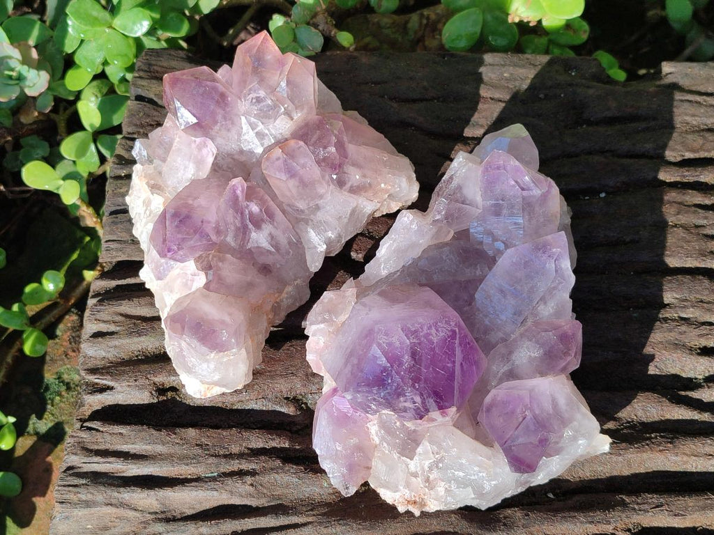 Natural Jacaranda Amethyst Crystal Clusters x 2 From Mumbwa, Zambia - Toprock Gemstones and Minerals 