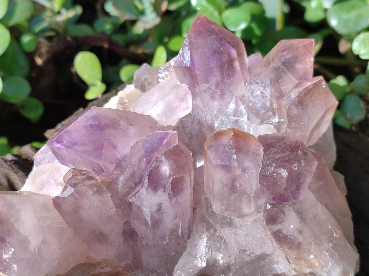 Natural Jacaranda Amethyst Crystal Clusters x 2 From Mumbwa, Zambia - Toprock Gemstones and Minerals 