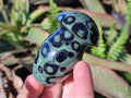 Polished Stromatolite "Kambamba Jasper" Mushrooms x 6 From Katsepy, Madagascar - Toprock Gemstones and Minerals 