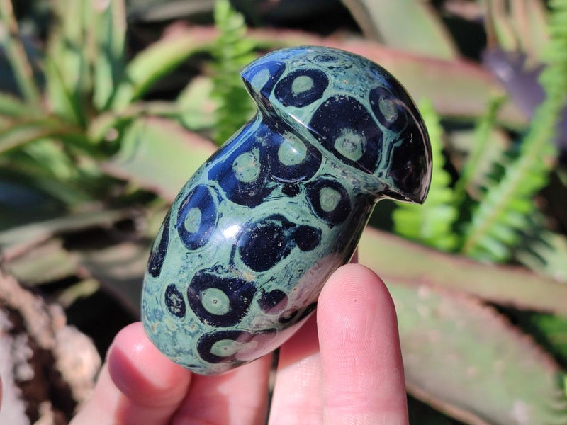 Polished Stromatolite "Kambamba Jasper" Mushrooms x 6 From Katsepy, Madagascar - Toprock Gemstones and Minerals 