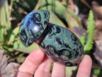 Polished Stromatolite "Kambamba Jasper" Mushrooms x 6 From Katsepy, Madagascar - Toprock Gemstones and Minerals 