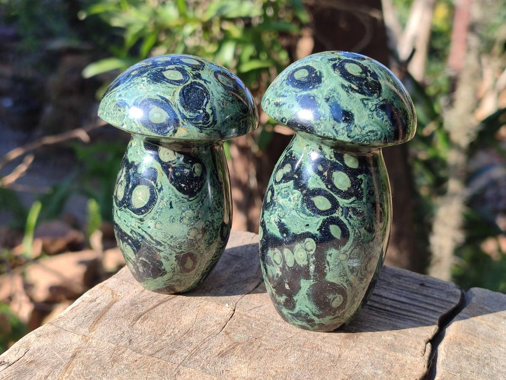 Polished Stromatolite "Kambamba Jasper" Mushrooms x 6 From Katsepy, Madagascar - Toprock Gemstones and Minerals 
