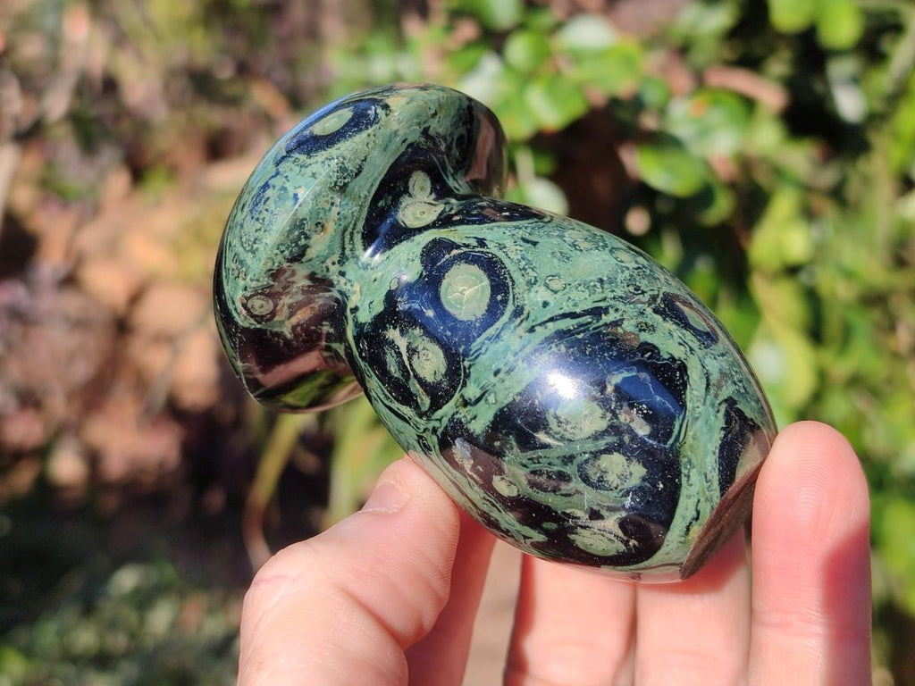 Polished Stromatolite "Kambamba Jasper" Mushrooms x 6 From Katsepy, Madagascar - Toprock Gemstones and Minerals 