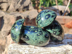 Polished Stromatolite "Kambamba Jasper" Mushrooms x 6 From Katsepy, Madagascar - Toprock Gemstones and Minerals 