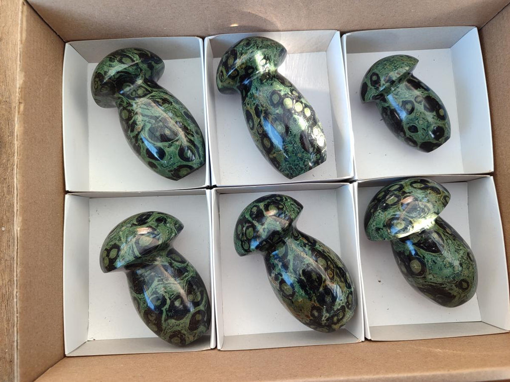 Polished Stromatolite "Kambamba Jasper" Mushrooms x 6 From Katsepy, Madagascar - Toprock Gemstones and Minerals 