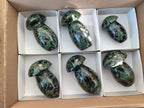 Polished Stromatolite "Kambamba Jasper" Mushrooms x 6 From Katsepy, Madagascar - Toprock Gemstones and Minerals 